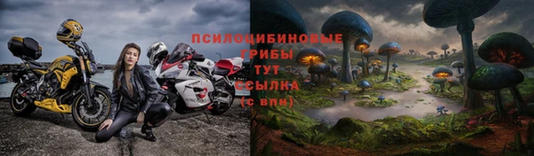 ALPHA PVP Новодвинск