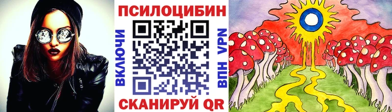 Псилоцибиновые грибы Psilocybine cubensis  МЕГА зеркало  Новая Усмань  продажа наркотиков 